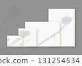 Natural light casts shadows from wildflowers on several sheets of white paper lying on a gray background. Mockup 131254534