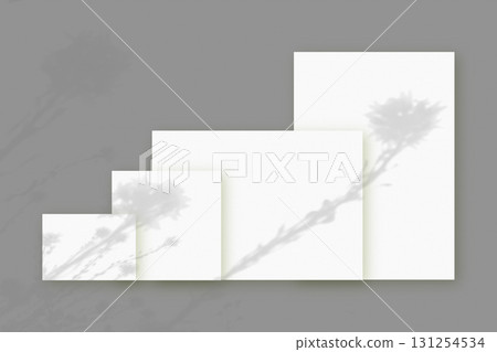 Natural light casts shadows from wildflowers on several sheets of white paper lying on a gray background. Mockup 131254534
