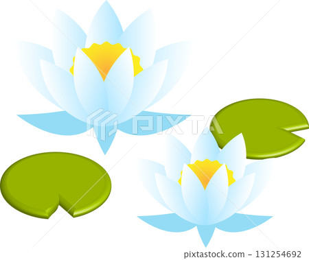 Illustration material of water lilies and lotus leaves Illustration material of water lilies and lotus leaves 131254692