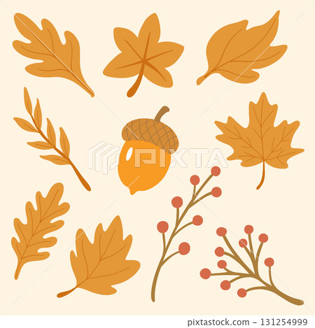 Thanksgiving2025Set1 131254999