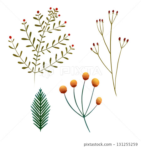 Branches with red berries, leaves, spruce branch. Isolated illustration hand drawn set. For Christmas and New Year presents, holiday decoration, sticker packs banner, greeting cards and clip art. Branches with red berries, leaves, spruce branch. Isolated illustration hand drawn set. For Christmas and New Year presents, holiday decoration, sticker packs banner, greeting cards and clip art. 131255259