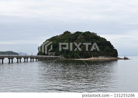 View of Takeshima in Gamagori City View of Takeshima in Gamagori City 131255286