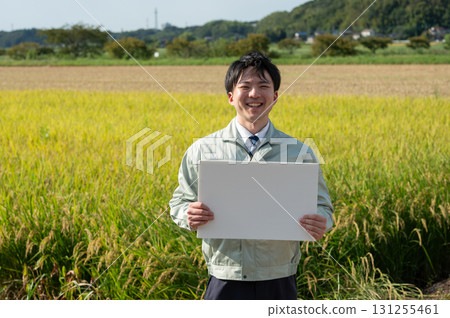 Rice field and staff 131255461