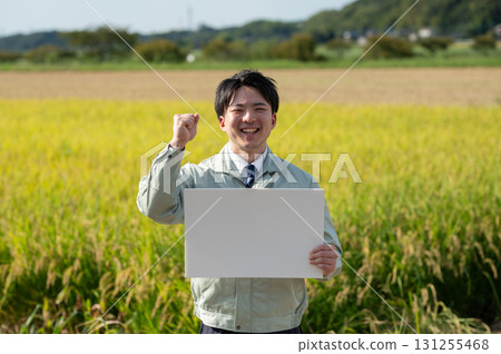 Rice field and staff Rice field and staff 131255468