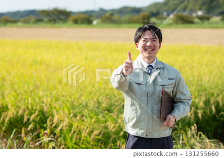 Rice field and staff Rice field and staff 131255660