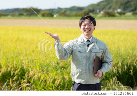 Rice field and staff Rice field and staff 131255661