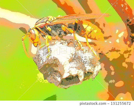 紙蜂在巢穴上休息（側面視圖，afr20250913135726） 131255672