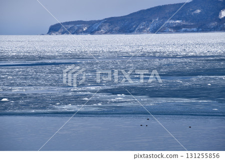 流冰抵達斜裡町宇登呂海岸 131255856
