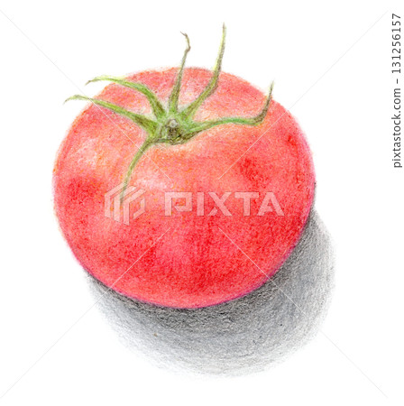 Hand-drawn tomato illustration Hand-drawn tomato illustration 131256157