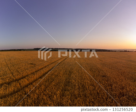 Wheat Field Harvest Summer Scenery 131256520