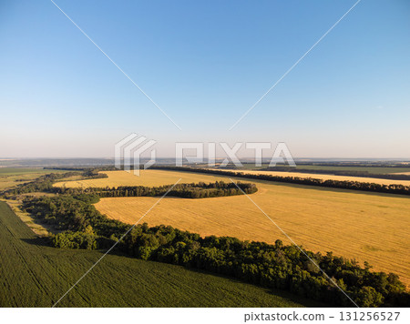 Aerial Ukraine Farmland Agriculture Fields 131256527