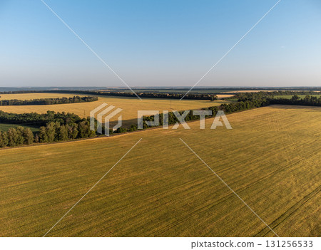 Wheat Barley Fields Aerial Summer Scenery Wheat Barley Fields Aerial Summer Scenery 131256533