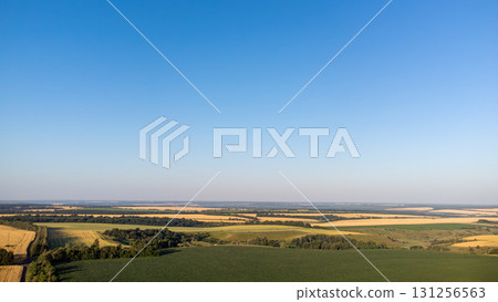 Aerial Green Agriculture Rural Scenery in Summer 131256563