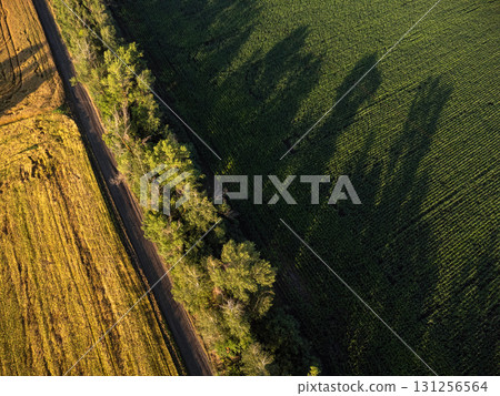 Look Down Aerial View of Summer Fields Geometry 131256564