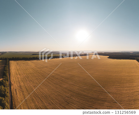 Aerial ripe wheat agriculture fields panorama Aerial ripe wheat agriculture fields panorama 131256569