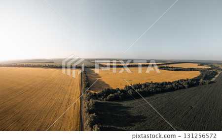Aerial sunny summer rural agriculture fields pano 131256572