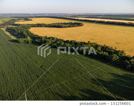Aerial Summer Agriculture Fields Scenery Aerial Summer Agriculture Fields Scenery 131256601