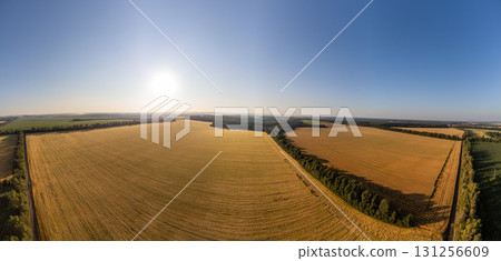 Aerial rural wheat farmland in summer panorama 131256609
