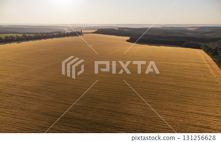 Aerial sunny ripe wheat fields farmland scenery 131256628