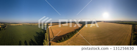 Aerial Fertile Summer Agriculture Fields Panorama 131256630
