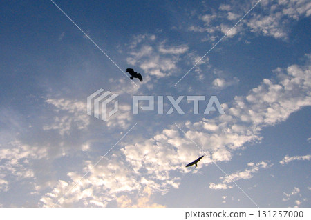 湯比和雲 131257000