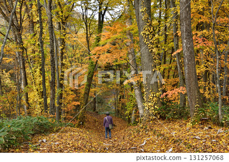 知床斜裡町雷雲神社的紅葉 131257068