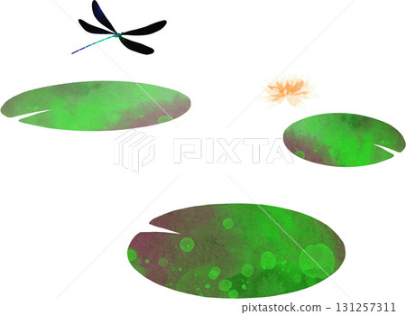 Illustration material of water lilies and dragonflies 131257311