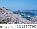 盛開的櫻花和松島灣的壯麗景色 131257795