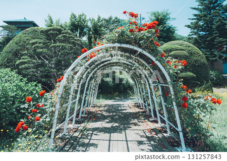 拱門環繞的涼亭 131257843