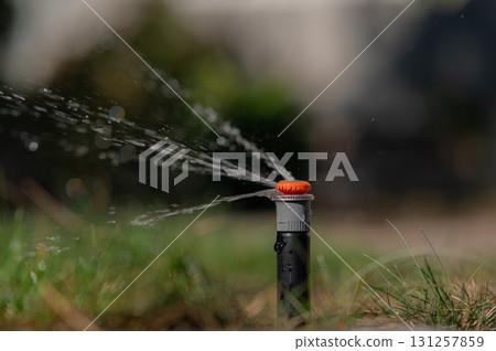 Observe the Lawn Sprinkler System at Work on a Vibrant and Healthy Green Grass Lawn Observe the Lawn Sprinkler System at Work on a Vibrant and Healthy Green Grass Lawn 131257859