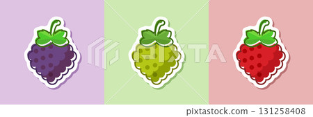 Grape, blueberry, raspberry sticker fruit icon set collection in flat style. Berry vector illustration on isolated background. Nature snack sign business concept. 131258408