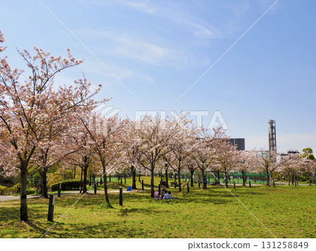 Hiroo Disaster Prevention Park, Ichikawa City, Chiba Prefecture 131258849