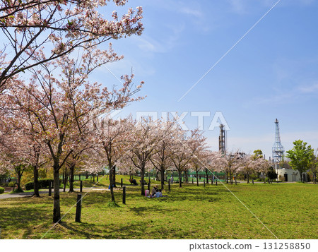 Hiroo Disaster Prevention Park, Ichikawa City, Chiba Prefecture Hiroo Disaster Prevention Park, Ichikawa City, Chiba Prefecture 131258850