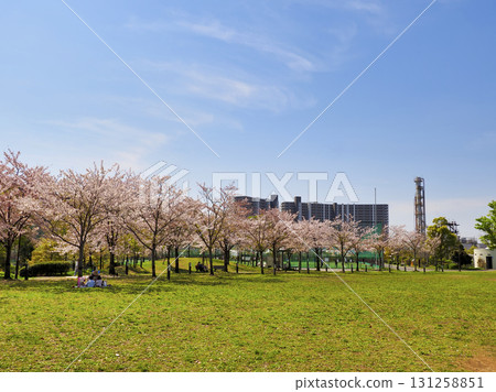 Hiroo Disaster Prevention Park, Ichikawa City, Chiba Prefecture 131258851