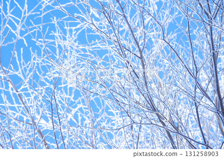 A midwinter morning in Hokkaido with blue skies and frost 131258903