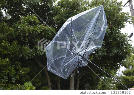 A plastic umbrella broken by strong winds A plastic umbrella broken by strong winds 131259192