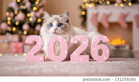 Ragdoll cat with bright blue eyes lying behind pink 2026 numbers in a cozy, festive Christmas setting. 131259260