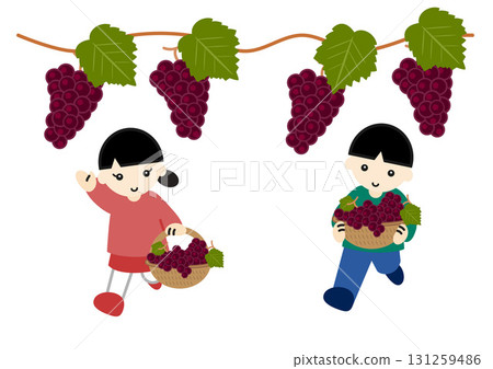 Children hunting grapes 131259486