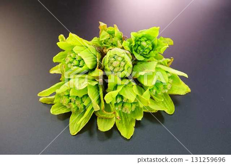 吹牛頭 吹牛頭 131259696