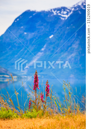 Mountains and fjord in Norway, Mountains and fjord in Norway, 131260619