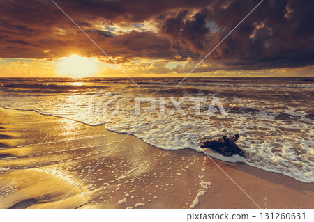 Golden sunset and tree root on beach 131260631