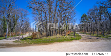 Gardens and Forest of the Royal Palace of La Granja de San Ildefonso, Spain 131260733
