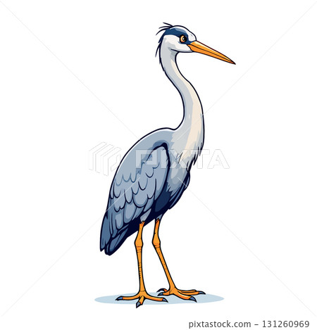 Vsai grey heron standing, showing its elegance and long beak Vsai grey heron standing, showing its elegance and long beak 131260969
