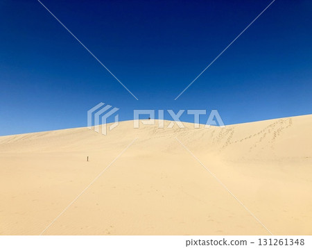 鳥取沙丘夏日的天空 131261348