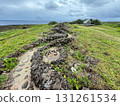 Hateruma Island - Snake Path 131261534