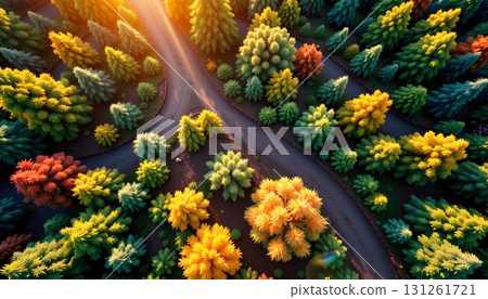 An expansive view of a forested area with autumnal colors 131261721