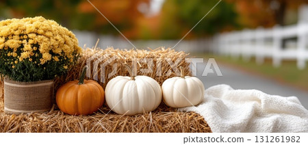 Bright pumpkins and white flowers sit atop hay bales in a seasonal display near a contemporary structure on a clear day 131261982