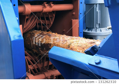 Wood debarking machine removing bark from raw log on woodworking factory. 131262310