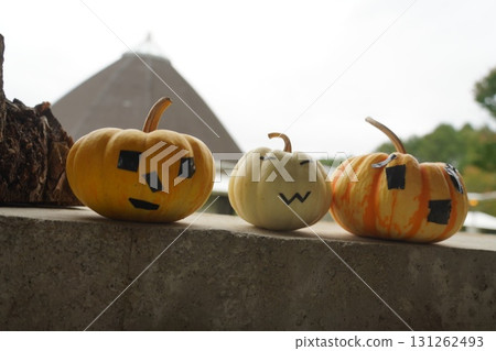 玫瑰開始綻放和萬聖節 131262493