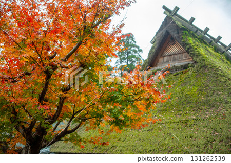 秋季葉子和草皮屋頂 131262539